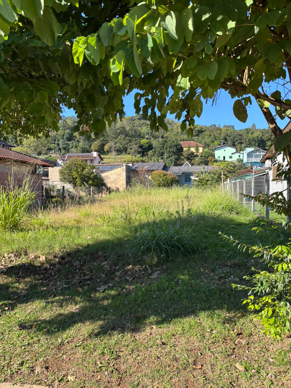 lote urbano