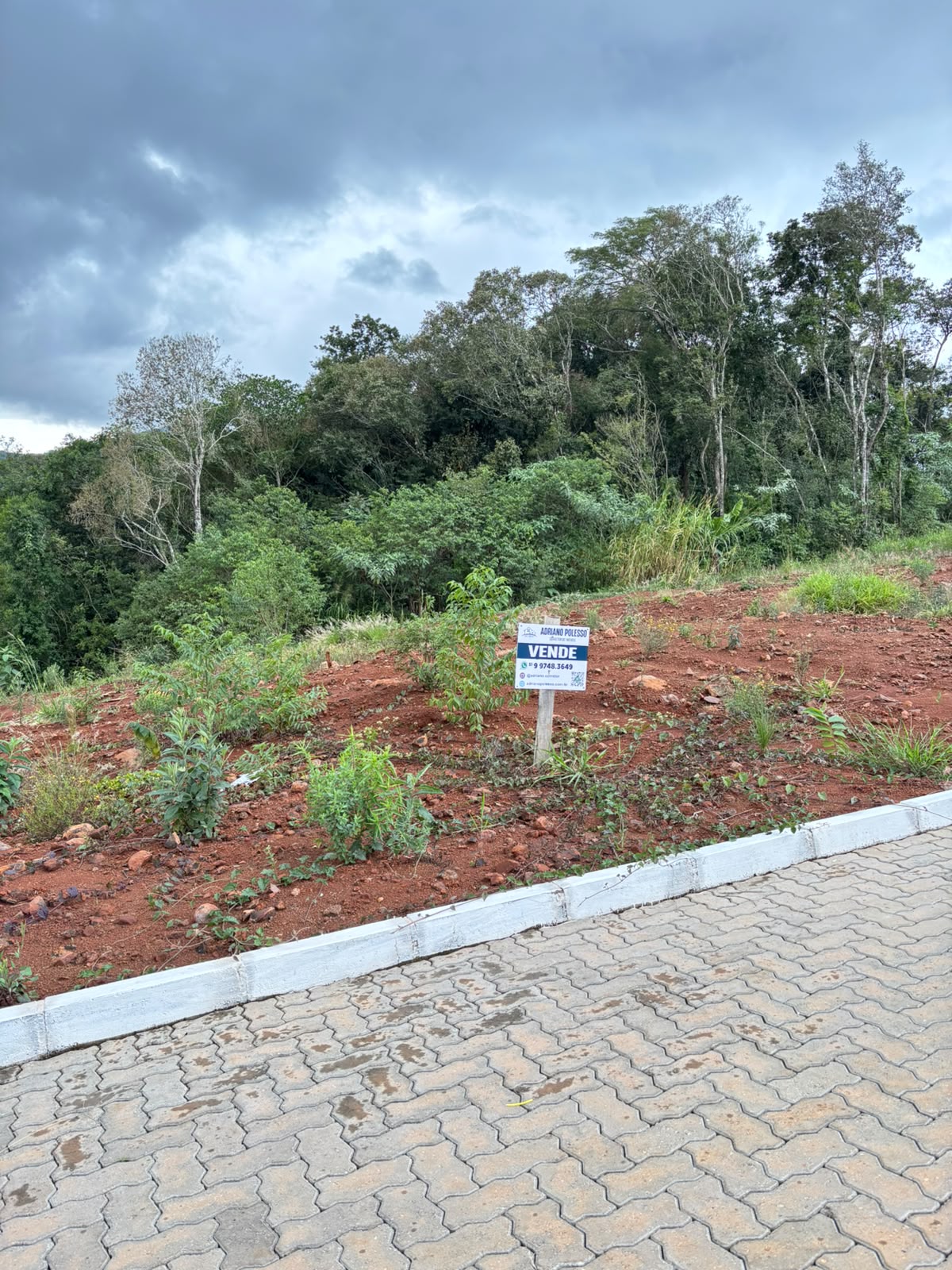 terreno alto