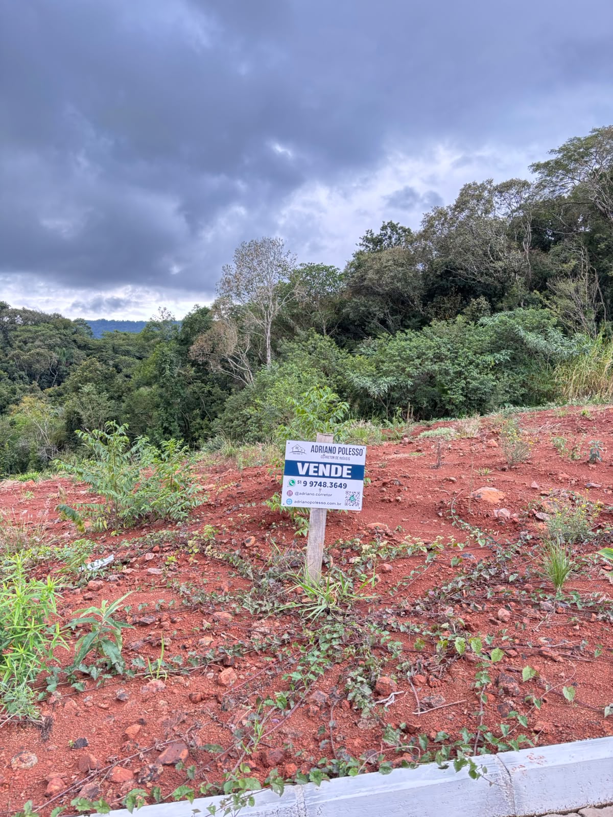 terreno alto