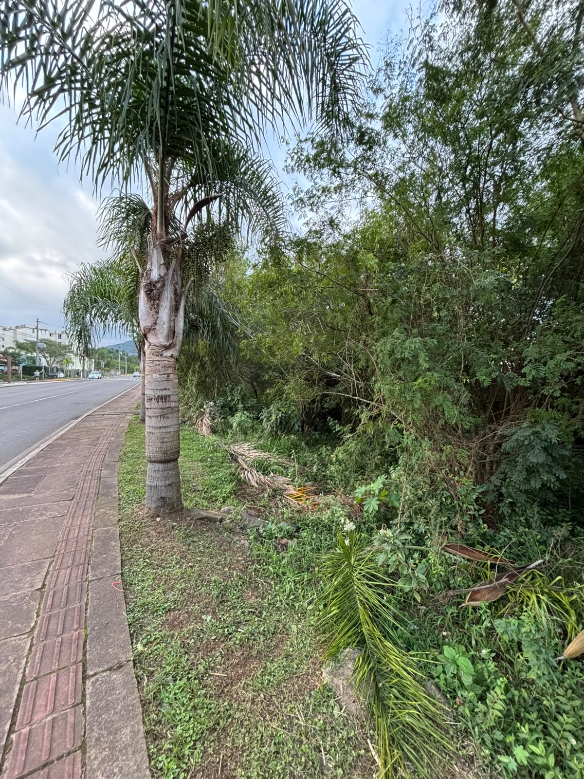 terreno de esquina