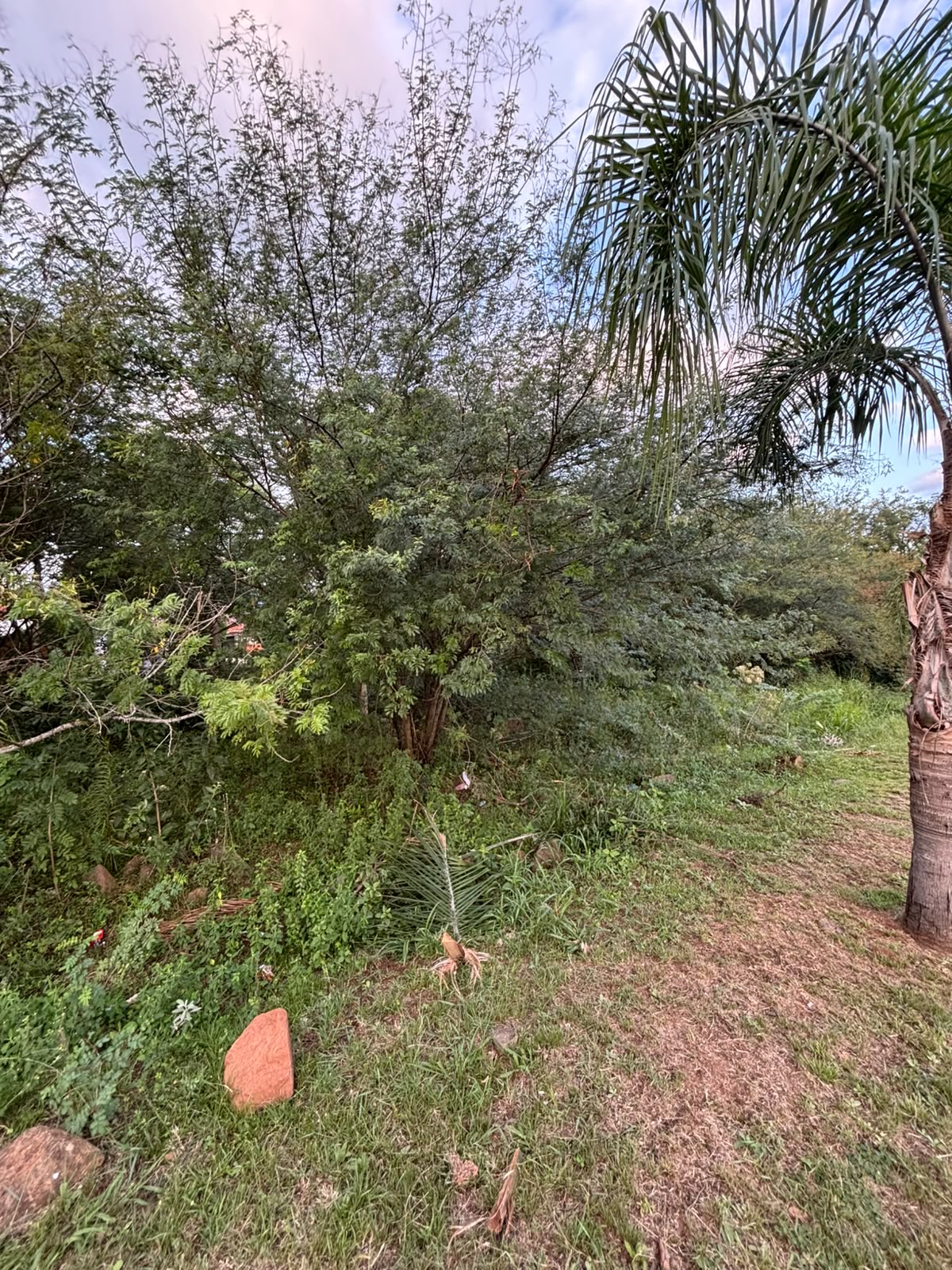terreno de esquina
