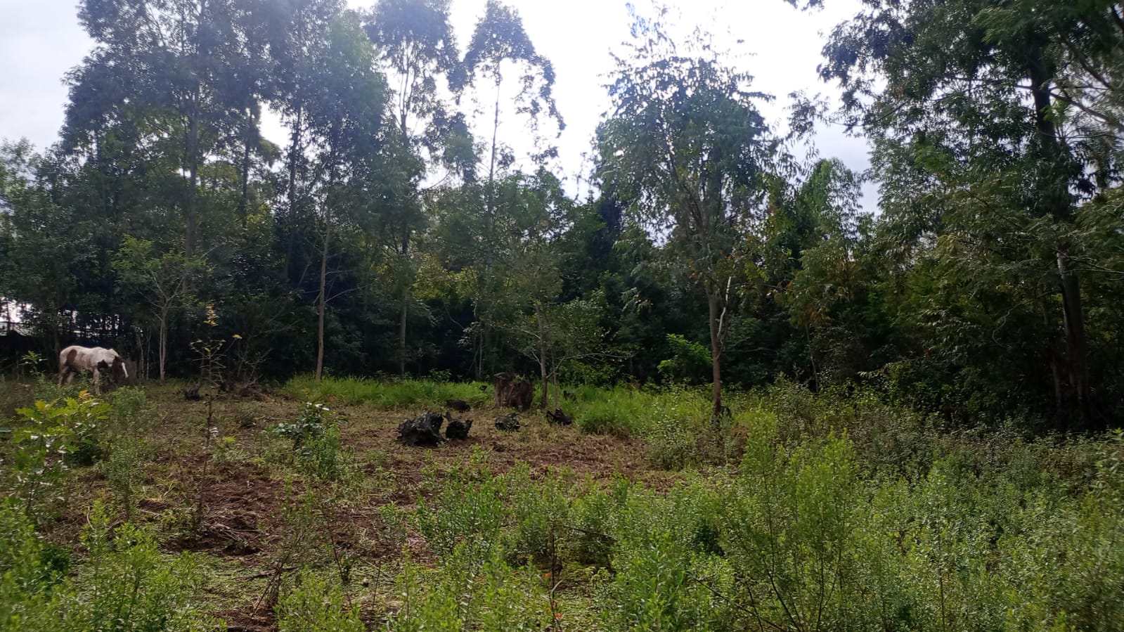 sitio privado